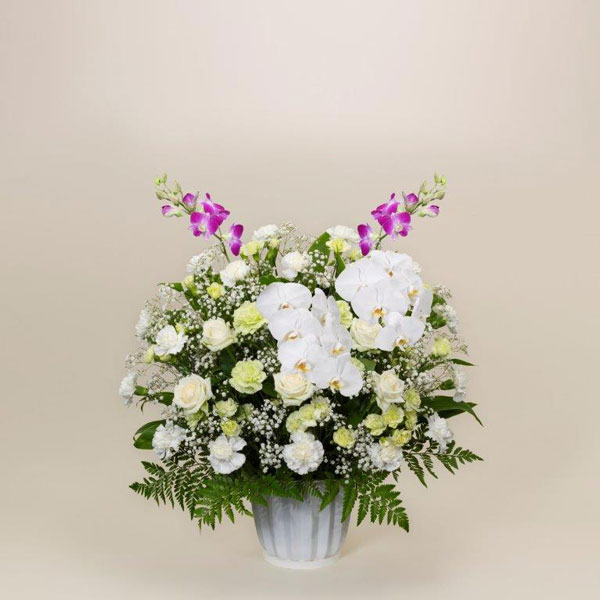洋花供花一基②