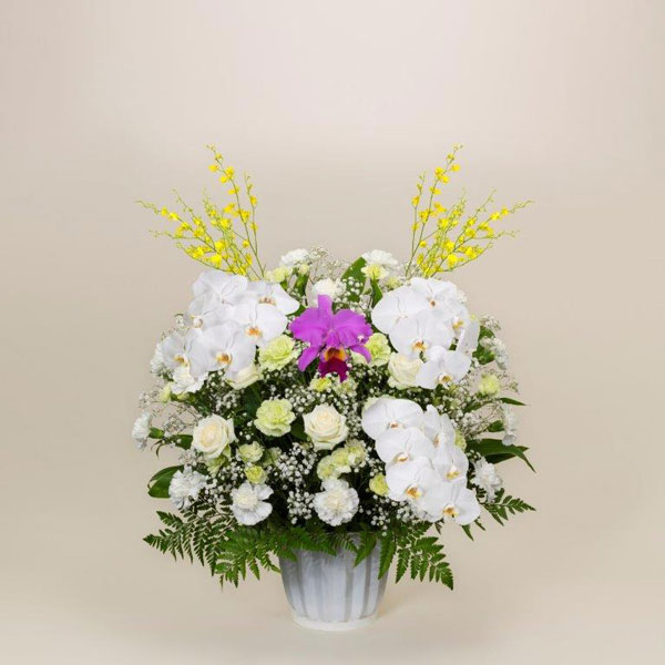 洋花供花一基③